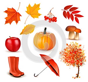 Set of autumn-themed objects.