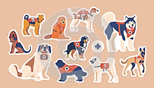 Set of Avalanche Rescue Dogs Stickers. Trained Canines Specialized In Locating And Rescuing Victims, Patches