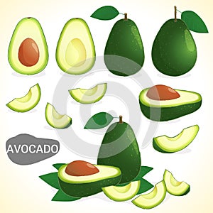 Set of avocado fruit in various styles vector format