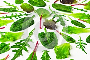 Set of baby green leaves isolated on white background. Arugula, spinach, beet, lettuce salad foliage close up.