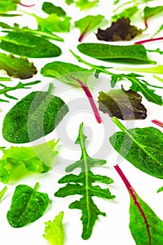 Set of baby green leaves isolated on white background. Arugula, spinach, beet, lettuce salad foliage close up.