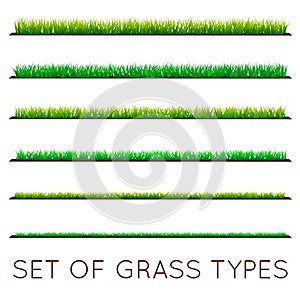 Set of Backgrounds Of Green Grass, Isolated On White Background, Vector Illustration