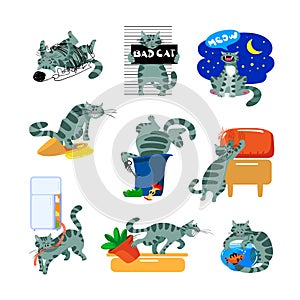 Set Bad Cat Behavior Icons. Kitten Meowing at Night, Scratch and Mark Sofa, Piss into Slipper, Dig in Garbage, Fishing photo