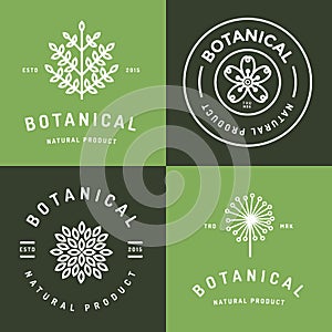 Set of badges, banner, labels and logos for botanical natural product, shop. Leaf logo, flower logo. Linear outline stroke photo