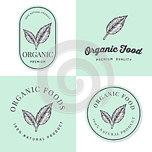 Set of badges, banner, labels and logos for Organic natural and fresh food product with hand drawn leaf. Packaging design.