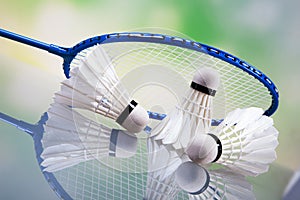 A set of badminton. Paddle and the shuttlecock.