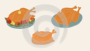 Set of baked turkey for thanksgiving day. Vector in cartoon style.