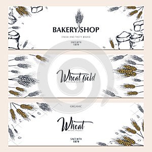 Set of Bakery backgrounds with wheats. Linear graphic. Bread banner collection. Bread house. Vector illustration.