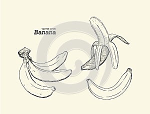 Set of banana, hand draw sketch vector.