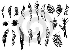 Set of banana palm and leaves painted in black paint on a white background