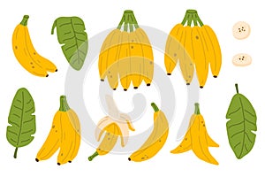 set of bananas and leaves