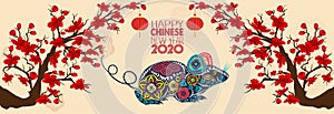 Set Banner Happy new year 2020 greeting card and chinese new year of the rat, Cherry blossom background