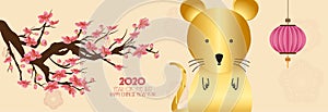 Set Banner Happy new year 2020 greeting card and chinese new year of the rat, Cherry blossom background