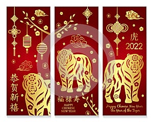 Set of banner with tiger for Chinese New Year. Hieroglyph translation: Happy new year, happiness, prosperity longevity