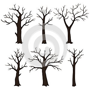 Set of bare tree silhouettes with leafless branches isolated on a white background.