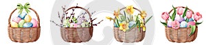 Set of baskets with Easter eggs and spring flowers on an isolated background. Vector illustration for Happy Easter