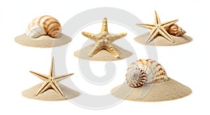 Set of beach sand and sea shells on white background 03