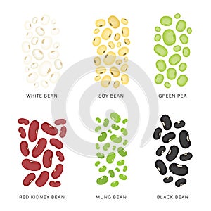 Set of Beans and nuts. Organic and healthy food Vector illustration.
