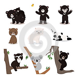 set of bears in different poses colored flat vector illustration isolated. sloth bear and cub, asiatic black bear, malayan sun