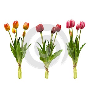 Set of beautiful artificial flowers for decoration