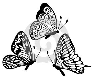 Set of black and white butterfly