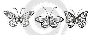 Set of beautiful black and white drawing butterflies on a white background isolated. Graceful insects with beautiful speckled