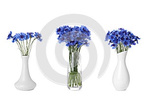 Set with beautiful blue cornflowers in vases on white background