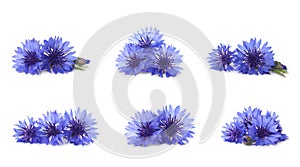 Set with beautiful blue cornflowers on white background. Banner design