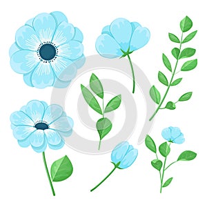 Set of beautiful blue flowers, leaves and buds, vector illustration.