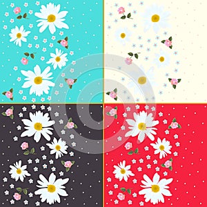 Set of beautiful floral patterns with daisies, roses and forget me not flowers.