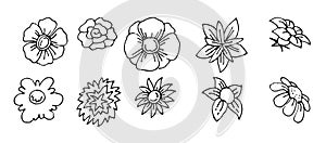 Set of beautiful funny flower. Cute simple cartoon style. Outline sketch. Hand drawing is isolated on a white background