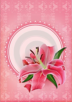 Set of beautiful gift cards with pink lily