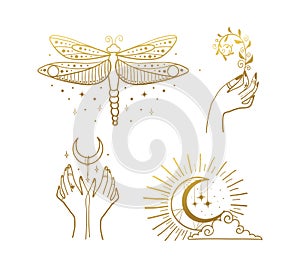Set of beautiful golden mystical elements in boho style, dragonfly, crescent, female hands. Elements for design of tarot