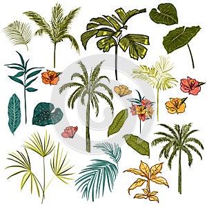 Set of beautiful hand drawing artistic tropical and lea