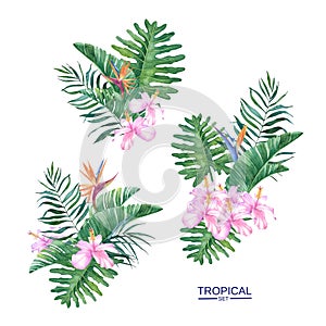 Set of beautiful tropical bouquets with exotic flowers and leaves.