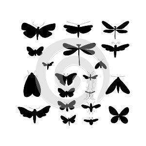 Set of beautiful winged insects, decorated with different ornaments isolated on a white background. All objects are