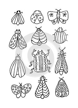 Set of beautiful winged insects, decorated with different ornaments isolated on a white background. All objects are