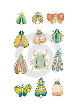 Set of beautiful winged insects, decorated with different ornaments isolated on a white background. All objects are