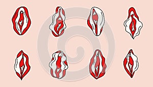 Set of Beauty female reproductive system. Vulva. Illustrator a vagina. photo