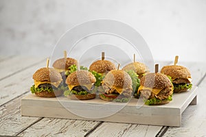 Set of Beef and Chicken mini burgers with cheese and lettuce