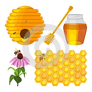Set of beekeeping elements vector beehive, honeycomb, flower, fresh honey