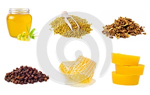 Set of beekeeping products on a white background. Honey, pollen, propolis, beer bread, beeswax. Healthy foods.