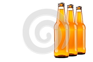 Set of Beer bottle on a white background. Bottle with drink like Ipa, Pale Ale, Pilsner, Porter or Stout