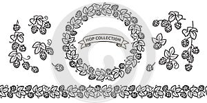 Set of beer hop branches, cones, beer hop seamless border and decorative wreath of hop. Vector illustration