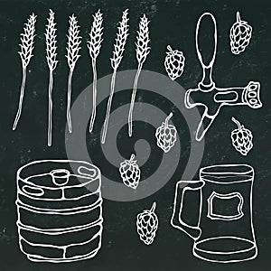 Set of Beer Objects: Hop, Malt, Mug, Tap, Keg. on a Black Chalkboard Background. Realistic Doodle Cartoon Style