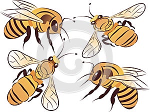 Set of bees