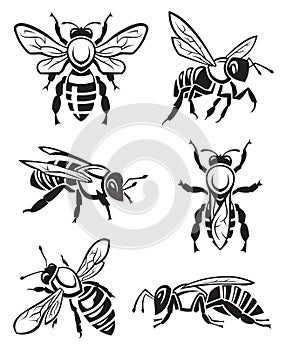 Set of bees photo