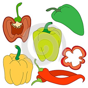 set of bell peppers red, yellow, green, hand-drawn. Whole peppers, halves with seeds and cut into pieces. Food, vegetables in