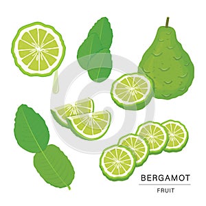 Set of Bergamot Fruit Slices. Organic and healthy food isolated element Vector illustration.