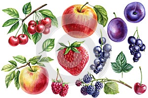 Set berries watercolor illustration. Plums, cherries, raspberries, blackberries, black currants and strawberries
